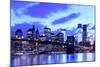 Brooklyn Bridge and Manhattan Skyline at Night, New York City-Zigi-Mounted Photographic Print