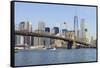 Brooklyn Bridge and Manhattan skyline, New York City, United States of America, North America-Fraser Hall-Framed Stretched Canvas