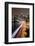 Brooklyn Bridge and Manhattan Skyline, New York City-Paul Souders-Framed Photographic Print