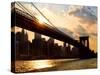 Brooklyn Bridge and Skyline, Manhattan, New York City-Sabine Jacobs-Stretched Canvas