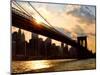 Brooklyn Bridge and Skyline, Manhattan, New York City-Sabine Jacobs-Mounted Photographic Print