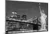 Brooklyn Bridge and the Statue of Liberty at Night, New York City-Zigi-Mounted Photographic Print