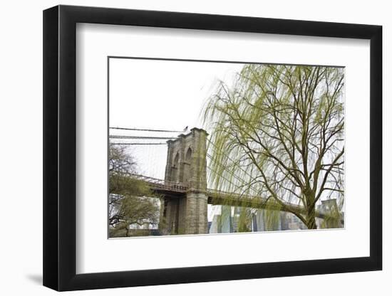 Brooklyn Bridge and Willow-Erin Clark-Framed Giclee Print