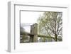 Brooklyn Bridge and Willow-Erin Clark-Framed Giclee Print