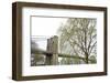 Brooklyn Bridge and Willow-Erin Clark-Framed Art Print