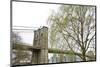 Brooklyn Bridge and Willow-Erin Clark-Mounted Art Print