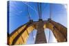 Brooklyn Bridge in New York-Jorg Hackemann-Stretched Canvas