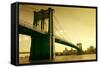 Brooklyn Bridge in Sepia Colour-olly2-Framed Stretched Canvas