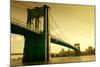 Brooklyn Bridge in Sepia Colour-olly2-Mounted Photographic Print