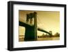 Brooklyn Bridge in Sepia Colour-olly2-Framed Photographic Print