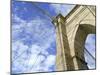 Brooklyn Bridge, New York City-robert cicchetti-Mounted Photographic Print
