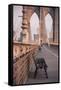 Brooklyn Bridge, New York, United States of America, North America-Amanda Hall-Framed Stretched Canvas