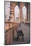 Brooklyn Bridge, New York, United States of America, North America-Amanda Hall-Mounted Photographic Print