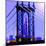 Brooklyn Bridge, New York-Tosh-Mounted Art Print