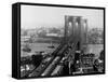 Brooklyn Bridge over East River and Surrounding Area-A. Loeffler-Framed Stretched Canvas