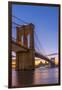 Brooklyn Bridge over East River, New York, United States of America, North America-Alan Copson-Framed Photographic Print