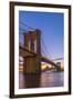 Brooklyn Bridge over East River, New York, United States of America, North America-Alan Copson-Framed Photographic Print