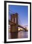 Brooklyn Bridge over East River, New York, United States of America, North America-Alan Copson-Framed Photographic Print