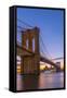 Brooklyn Bridge over East River, New York, United States of America, North America-Alan Copson-Framed Stretched Canvas