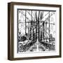 Brooklyn Bridge Sketch-Shelley Lake-Framed Art Print