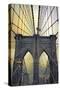 Brooklyn Bridge Twilight-Jessica Jenney-Stretched Canvas