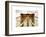 Brooklyn Bridge View-Philippe Hugonnard-Framed Art Print