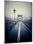 Brooklyn Bridge with Overcast Manhattan Skyline in the Background-Frina-Mounted Photographic Print