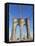 Brooklyn Bridge-Alan Schein-Framed Stretched Canvas