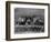 Brooklyn Dodgers at Spring Training, Baseball Photo - Hot Springs, AR-Lantern Press-Framed Art Print