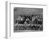 Brooklyn Dodgers at Spring Training, Baseball Photo - Hot Springs, AR-Lantern Press-Framed Art Print