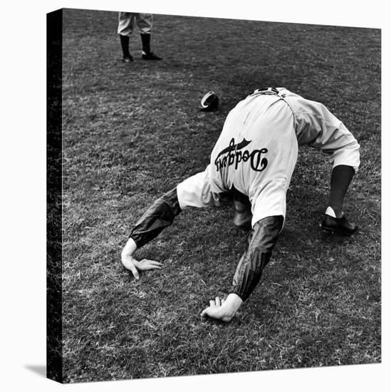 Brooklyn Dodgers Pitcher Ed Albosta Doing Stretching Exercise During Spring Training-William Vandivert-Stretched Canvas