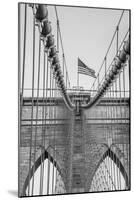 Brooklyn Flag-Alan Copson-Mounted Giclee Print