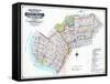 Brooklyn Map-null-Framed Stretched Canvas