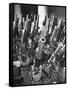 Brooklyn Naval Yard Worker Looking over a Storage of Guns-George Strock-Framed Stretched Canvas