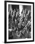 Brooklyn Naval Yard Worker Looking over a Storage of Guns-George Strock-Framed Photographic Print