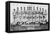 Brooklyn, NY, Brooklyn Dodgers, Team Photograph, Baseball Card-Lantern Press-Framed Stretched Canvas