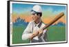 Brooklyn, NY, Brooklyn Superbas, Harry Pattee, Baseball Card-Lantern Press-Framed Stretched Canvas