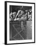 Brooklyn's Branch Rickey Showing Pain as the Dodgers Trail-George Silk-Framed Premium Photographic Print