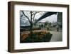 Brooklyn's River Cafe-Jerry Soloway-Framed Photographic Print
