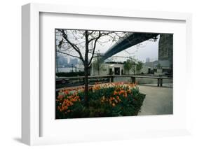 Brooklyn's River Cafe-Jerry Soloway-Framed Photographic Print