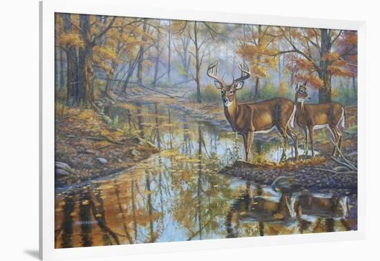 Brookside Retreat - Whitetails-Bruce Dumas-Framed Giclee Print