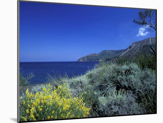 Broom Flowers and the Mediterranean Sea, Sicily, Italy-Michele Molinari-Mounted Premium Photographic Print