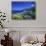 Broom Flowers and the Mediterranean Sea, Sicily, Italy-Michele Molinari-Photographic Print displayed on a wall