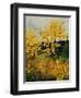 Brooms Shrubs-Pol Ledent-Framed Art Print