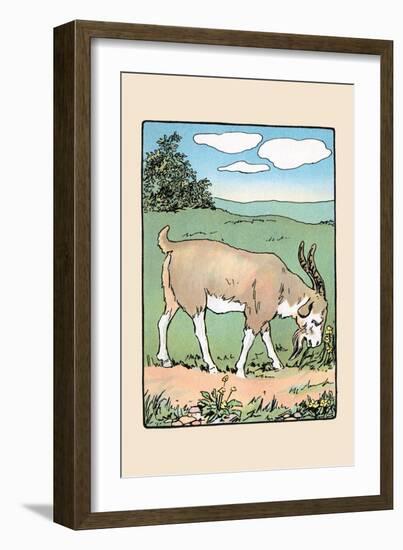 Brother Bill the Billy Goat-Julia Dyar Hardy-Framed Art Print