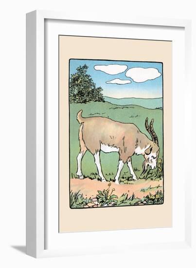 Brother Bill the Billy Goat-Julia Dyar Hardy-Framed Art Print