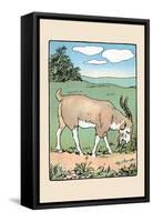 Brother Bill the Billy Goat-Julia Dyar Hardy-Framed Stretched Canvas