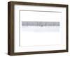 Brother-null-Framed Art Print