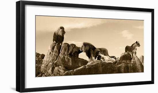 Brotherhood-Marc Moreau-Framed Art Print