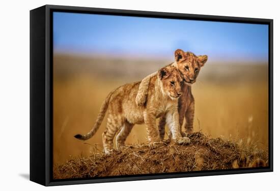 Brothers for Life-Jeffrey C. Sink-Framed Stretched Canvas